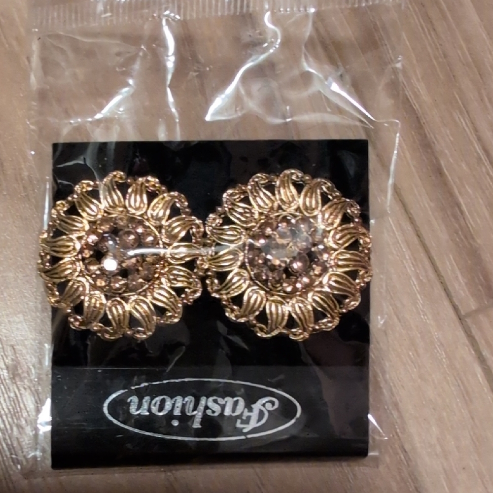 Elegant Gold and Brown Earrings